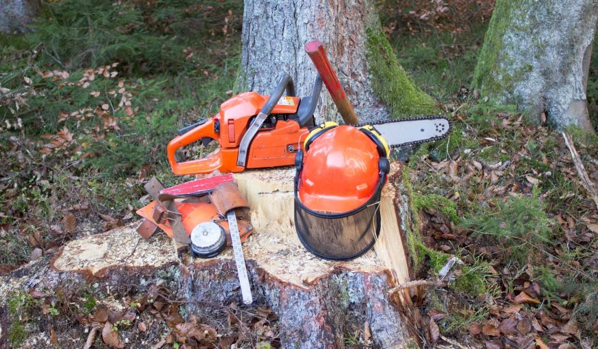 Auf der Schnittfläche eines gefällten Baumes lagern ein Schutzhelm mit Visier, eine Kettensäge und weiteres Werkzeug für Baumfällarbeiten.