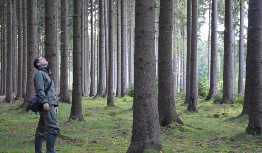 Ein Mann in Forstbekleidung mit Fernglas steht in einem Wald mit dichtem Baumbestand und blickt in Richtung der Baumkronen.