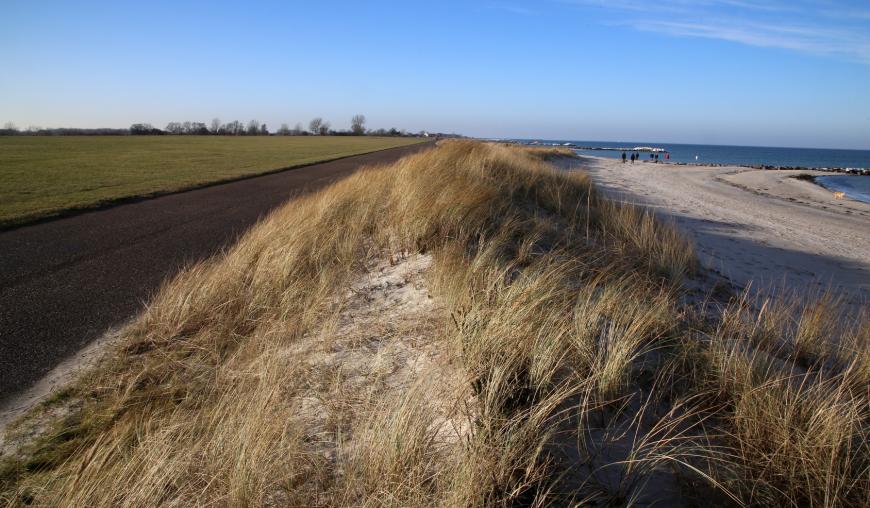 Blick von einer Düne auf eine Landschaft, zur Linken befindet sich ein grünes Feld und ein Weg, zur Rechten ein Sandstrand und das Meer.