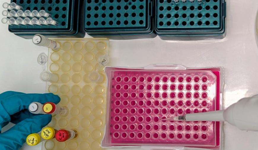 Tierseuchendiagnostik